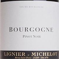 Lignier-Michelot - Bourgogne 2020 (750ml) (750ml)